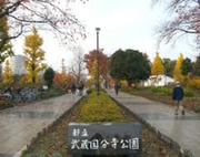 武蔵国分寺公園